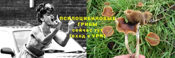 мяу мяу мука Снежинск